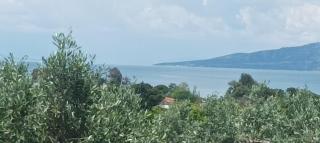 Olive Horizon Villa - 8