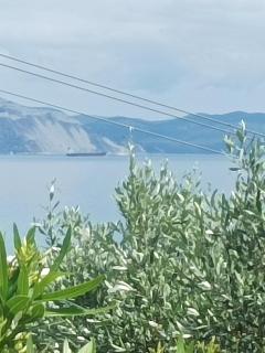Olive Horizon Villa - 3