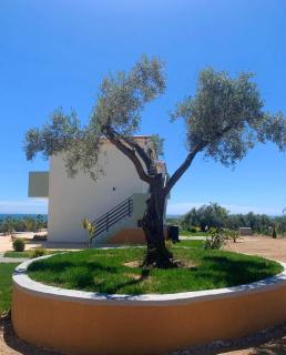 Resort Finikas - 3