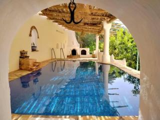 Maison d'hôtes à l'oasis - 7