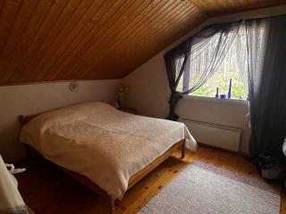 Villa Paalasmaa Huvila, Puusauna ja Oma rauha - 3