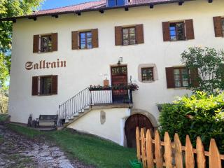Sallrain Hof Apartment 2 - 9