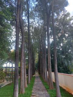 Residency Holiday Resort - calm, peaceful and fun stays - 6