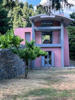 Seta Forest House - 2