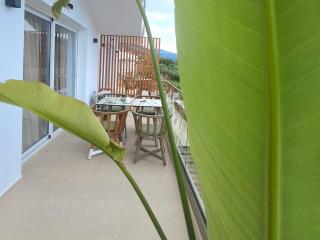 Kapahi Suites Apartments Potos - 1