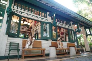 InterContinental Khao Yai Resort by IHG - 3