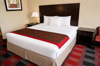 Central Albany Room with Breakfast & view - 0