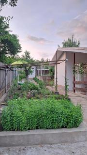 Beautiful guest house close to mud bath treatment, Baicoi - 3