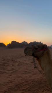 Rum desert camp - 8