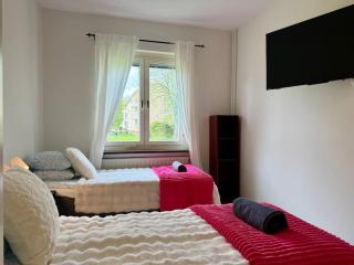 Workers & Family Homes Modern 2BR Apartment with Free Parking 10 min to Volvo - 3