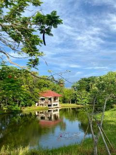 The Peaceful Pondside Home Mountain View - 0