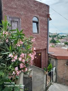 Overlooking Old Tbilisi Nino - 3