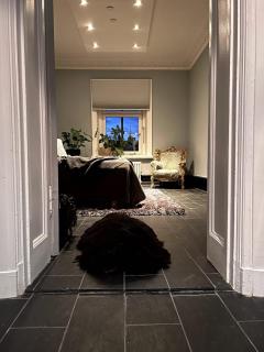 Luxury apartment in the heart of gothenburg - 8