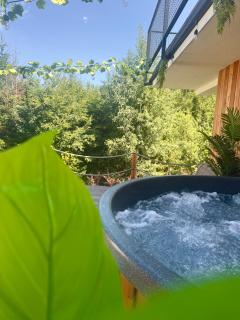 Domki Dwa jelonki - balia z jacuzzi i sauna - 7
