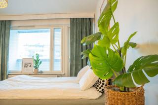 Arctic Downtown Dream: Cozy City Studio - 7