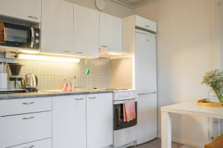 Arctic Downtown Dream: Cozy City Studio - 3
