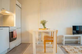 Arctic Downtown Dream: Cozy City Studio - 2