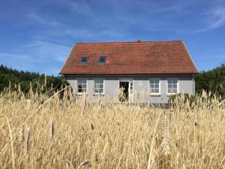 Ferienhaus Haffhaus - 0