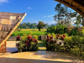 Circle House Bamboo Sidemen - 2