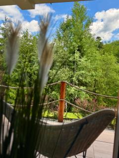 Domki Dwa jelonki - balia z jacuzzi i sauna - 3