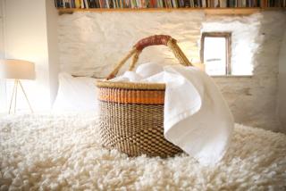 Wester Auchraw Croft B&B - 2