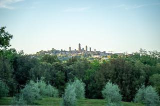 Podere Casanuova - Gilvus Relax in San Gimignano - 9