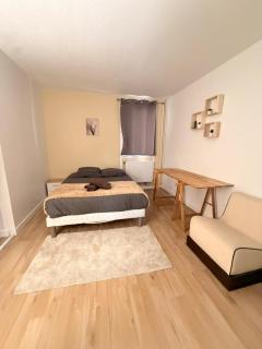 Grand Appartement Ideal grand Groupe Pour concert Stade de France - 9