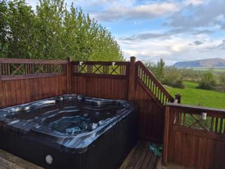Golden Circle Lux Cabin/Cinema & Aurora Glasshouse - 1