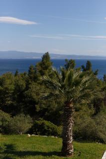 Villa Roxanne - 5