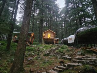 log hut dharamkot - 8