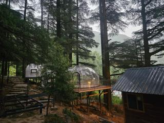 log hut dharamkot - 7