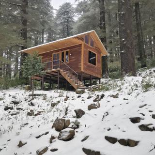 log hut dharamkot - 1