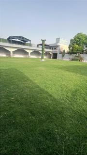 Satyam Shivam Palace & Resort - 6