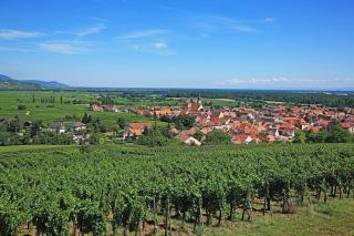 L'Écrin d'Ingersheim, T2 neuf & climatisé proche Colmar - 1