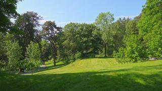 Plas Madoc Lodge - 9