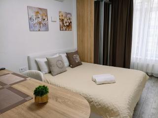 Scandinavian Studio in the Heart of Kyiv - 3
