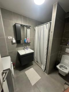 Penthouse with Free Garage Parking - 1