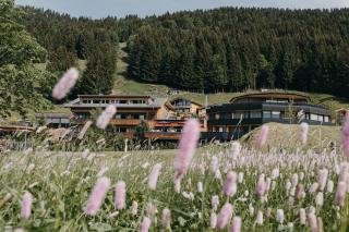 Torghele's Wald & Fluh - 6