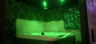 Secret place love room Jungle - 5
