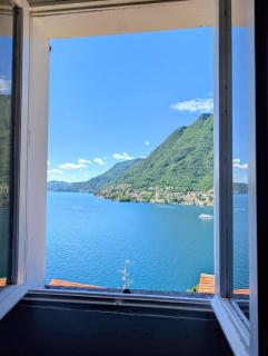 The sunflower of Lake Como - 6