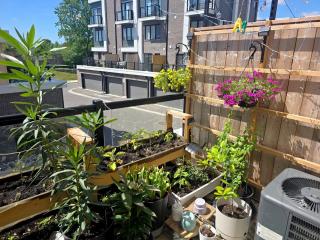 Downsview Park Retreat - Rogers Stadium Getaway 2 - 2