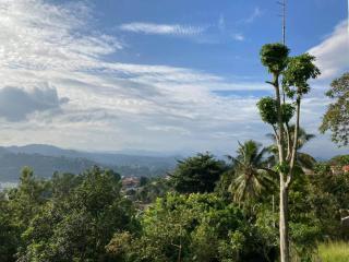 The Montfort - Kandy - 9