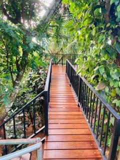 The Montfort - Kandy - 6