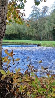 Country Cottage 5km from Doneraile - 1