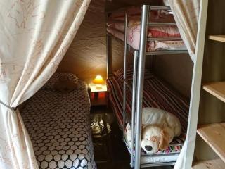 Camping 3 étoiles - Piscine - ccbg0d0 - 9