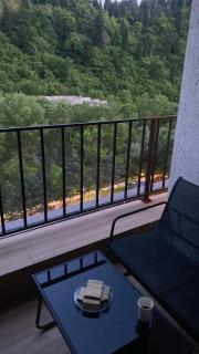 The sunny Terrace Borjomi - 1