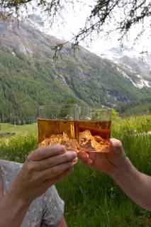Waldhotel Fletschhorn Private Whole Hotel in Saas-Fee 360 Alpine Views & Sauna - 3