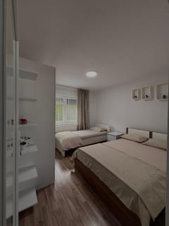 Apartments Andreea - 5