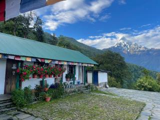 Hotel Rest camp & Restaurant mardi trek - 5