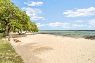 Coral Sands - Escapade les Pieds dans l'Eau - 9